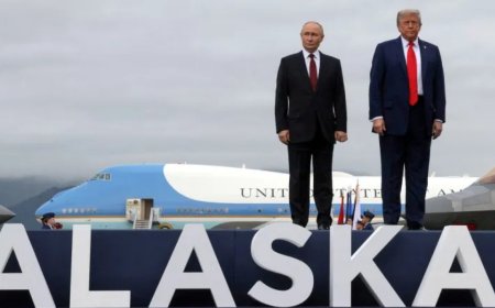 特朗普所说的双方交换土地以结束战争究竟是什么意思？