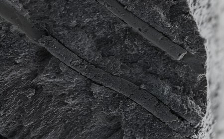 冷热酸甜随便吃：印度研发 400 纳米机器人，“钢铁防线”实现牙齿脱敏