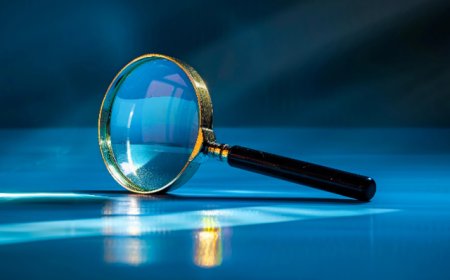 浙江省人大常委会副主任高兴夫被查，曾由省属企业掌门直升副省长