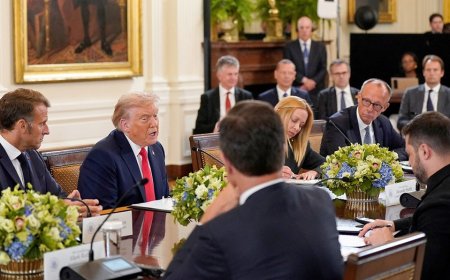 Trump calls White House talks 'very good, early step' toward Russia-Ukraine peace: Here's what's next