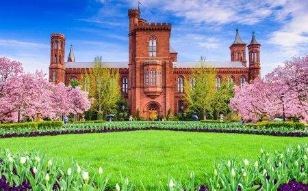 LIZ PEEK: Trump declares war on woke—and this beloved museum is in his crosshairs