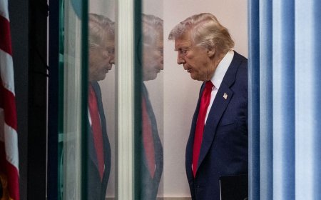 SEN TOM COTTON: Trump is right to bring law and order back to DC