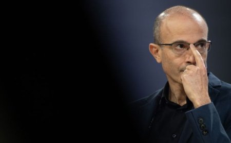 人类衰落简史：当定居者成为历史学家