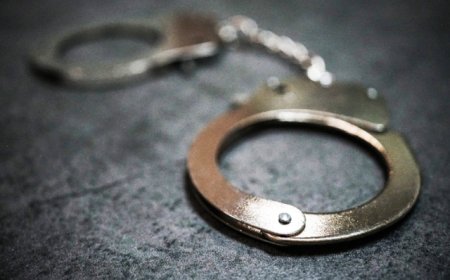 向800余人非法吸收3亿余元，经济犯罪嫌疑人李某被从泰国引渡回国