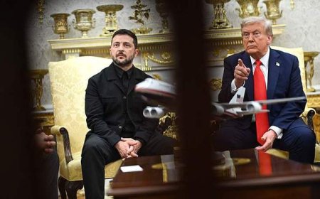 泽连斯基再进白宫连说4次“谢谢”，特朗普开始安排俄乌元首会晤