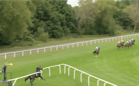 Blindfolded horse smashes barriers, five jockeys banned and race voided in Windsor chaos