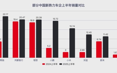 小米小鹏零跑：新势力“增长三杰”的秘密