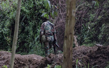 刚果（金）与”M23运动”未能在多哈和平协议规定的期限内达成共识