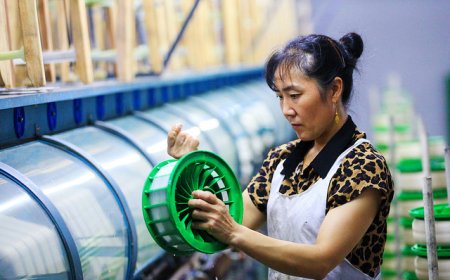 年内财政收入累计增速首次转正，“反内卷”行动初现成效