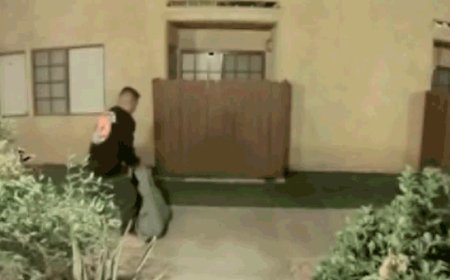 California woman found dead in national forest, husband seen dragging something in large tarp