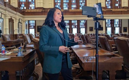 Texas Dem abruptly leaves call with Newsom, other party members after being told she’s committing felony