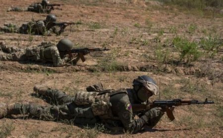 哥伦比亚雇佣兵：隐藏在其他国家战争中作战的军队