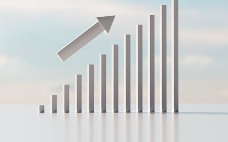 众安在线上半年净利增超11倍，数字银行业务扭亏，原因有哪些？