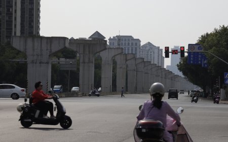 柳州开会学习轻轨反面典型案例，市委书记：教训极其深刻