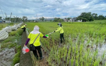 高雄爆今年首例本土日本腦炎　男昏迷住院...足跡接觸史曝光
