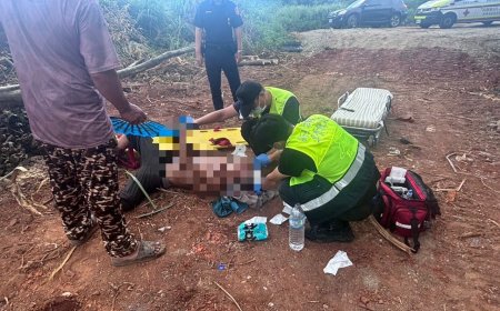 快訊／整地移除樹幹突從怪手上掉落　1人慘被砸中斷腿滿頭血