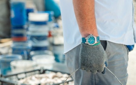 Oris挺牡蠣計畫護生態　海洋綠母貝潛水錶吸睛