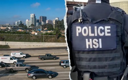 Illegal immigrant charged for allegedly ramming truck into federal officers in California