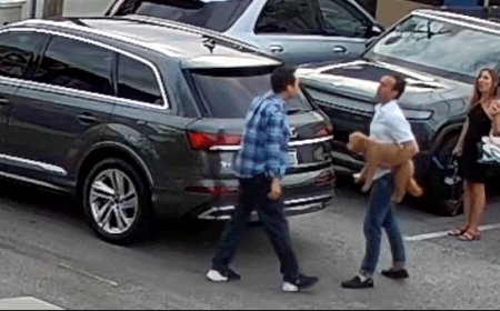 Biotech CEO sues Uber after illegal immigrant driver assault caught on camera in downtown Charleston, SC