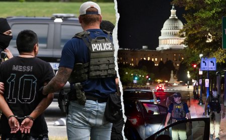 Social media erupts after illegal immigrant screams during viral DC arrest: 'What I voted for'