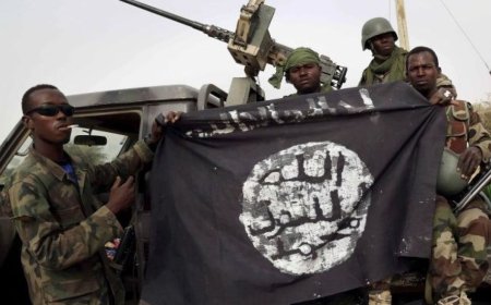 乍得出现新一轮袭击，多国联合反恐部队表现下滑