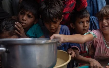 毁灭1.4亿人的计划，谁值得活下去？