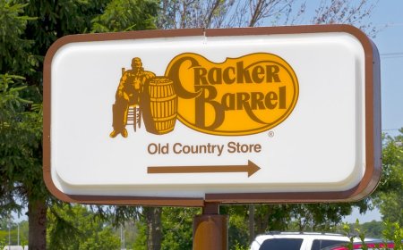 Democratic Party, Gavin Newsom join online roasting of new Cracker Barrel logo