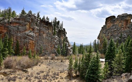 Colorado Parks and Wildlife ranger charged with staging fake stabbing incident that locked down schools