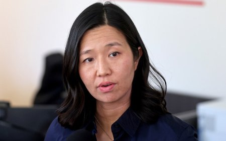 ICE chief vows to ‘flood’ Boston with agents after Dem mayor pledges to resist