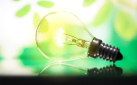 直通部委｜我国月度用电规模首次突破万亿千瓦时 医疗机构抗蛇毒血清采购情况公布