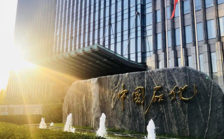 四大板块收益均下滑，中国石化上半年净利下跌近四成