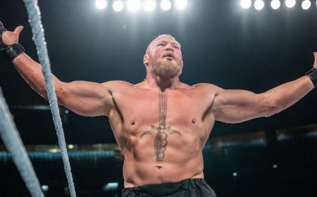 Off-script WWE chaos saw Brock Lesnar stun fans with real punch that left rival dazed