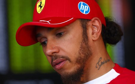 Lewis Hamilton was not wanted by 90 per cent of Ferrari staff, claims ex-driver