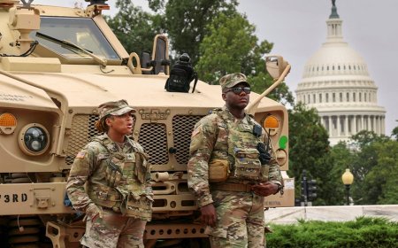 National Guard mobilizing in 19 states amid immigration, crime crackdown