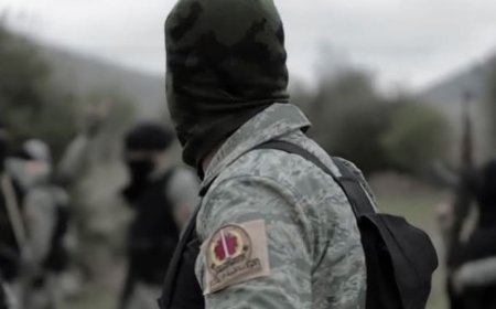 叙利亚旅党：在苏韦达的崛起及其与以色列的关系