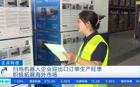 中国扫地机器人厂商订单排到年底，全球市场迎来爆发