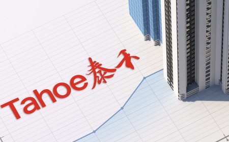 泰禾集团董事长黄其森被留置 ，8位高管被处罚超1000万元