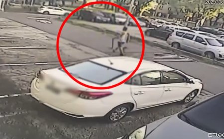 分4波開槍狙殺遛狗男！殺手最後再朝頭補1槍　2隻惡霸犬急衝回家