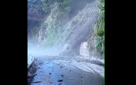 「全國最爛路」投89線落石砸落百公尺　駕駛急倒車閃避