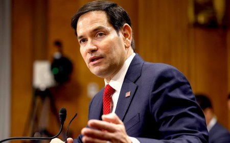 Rubio's major immigration move praised by conservative experts: 'Long overdue'
