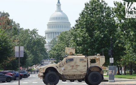 National Guard rollout in 19 states not linked to Trump’s crime crackdown, WH says