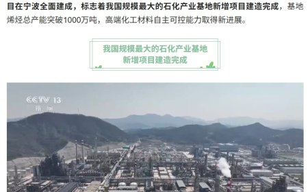 攻克多项“卡脖子”技术，我国规模最大石化产业基地新增项目建造完成
