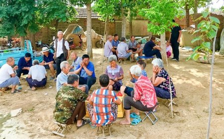 山东通报审计工作报告：两市向505名死亡人员发放养老保险