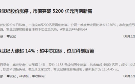 寒武纪的5000亿泡泡，快吹破了！