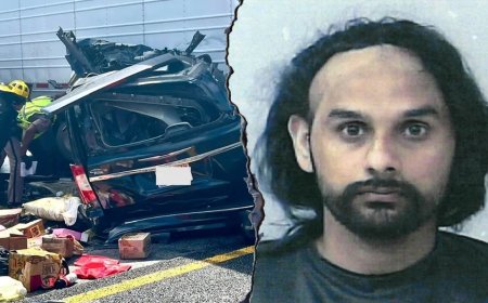 Nearly 2.5M people sign petition supporting illegal immigrant truck driver charged in fatal crash