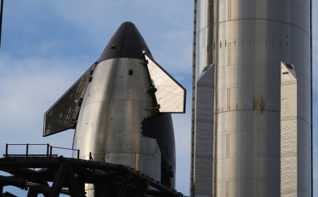 Musk’s SpaceX Starship critical test launch scrapped over ground systems issue