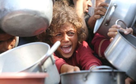 联合国宣布加沙发生饥荒后会发生什么？