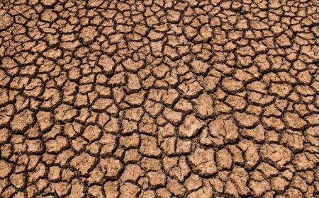 伊拉克南部土壤隐藏潜在的放射性威胁