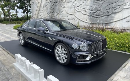 全球仅一台，宾利飞驰 MULLINER“熊猫”特别版发布