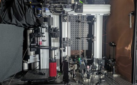 新显微镜刷新脑成像极限，可“透视”活体脑组织 1.1 毫米深度